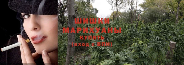 ПСИЛОЦИБИНОВЫЕ ГРИБЫ Кукмор