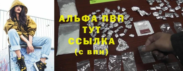 ПСИЛОЦИБИНОВЫЕ ГРИБЫ Кукмор