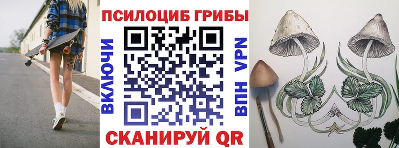 mega ССЫЛКА  что такое   Чухлома  Галлюциногенные грибы Magic Shrooms 